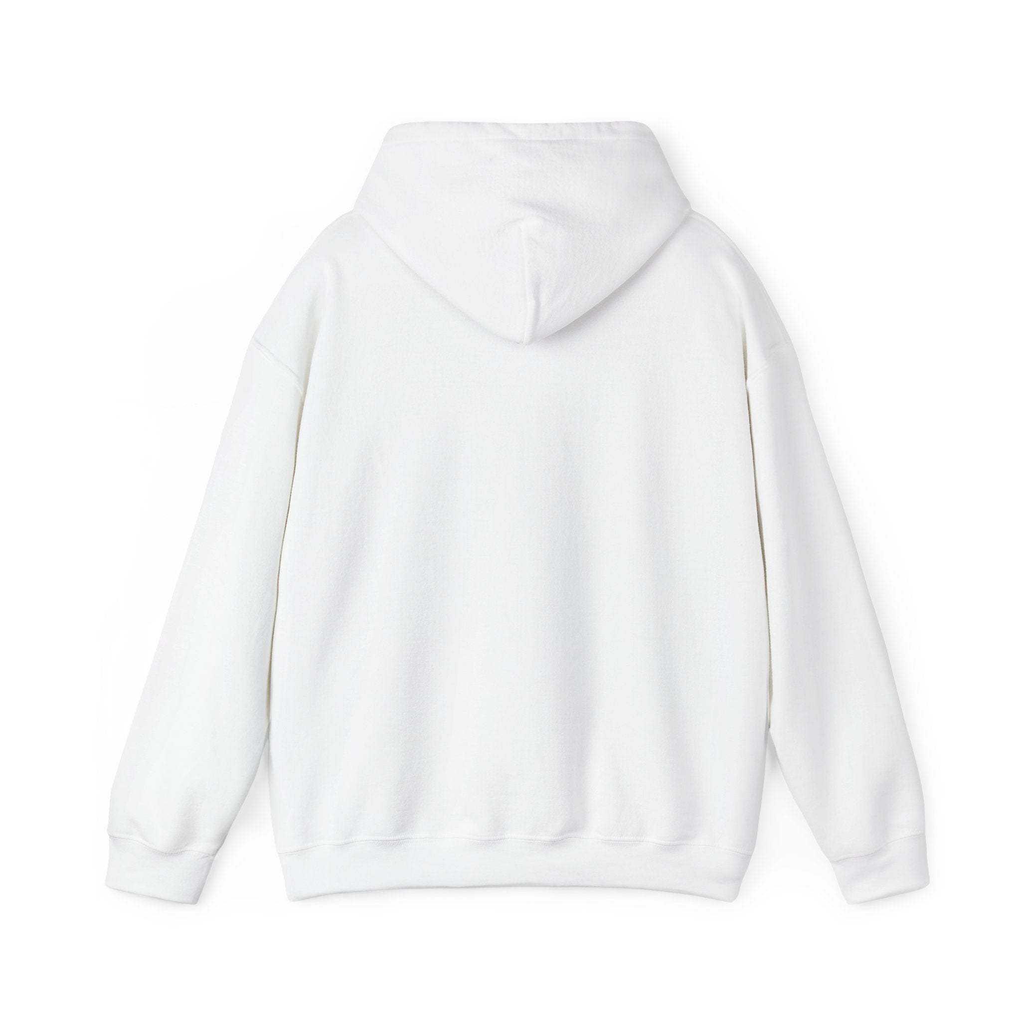 Rubin Report Hoodie