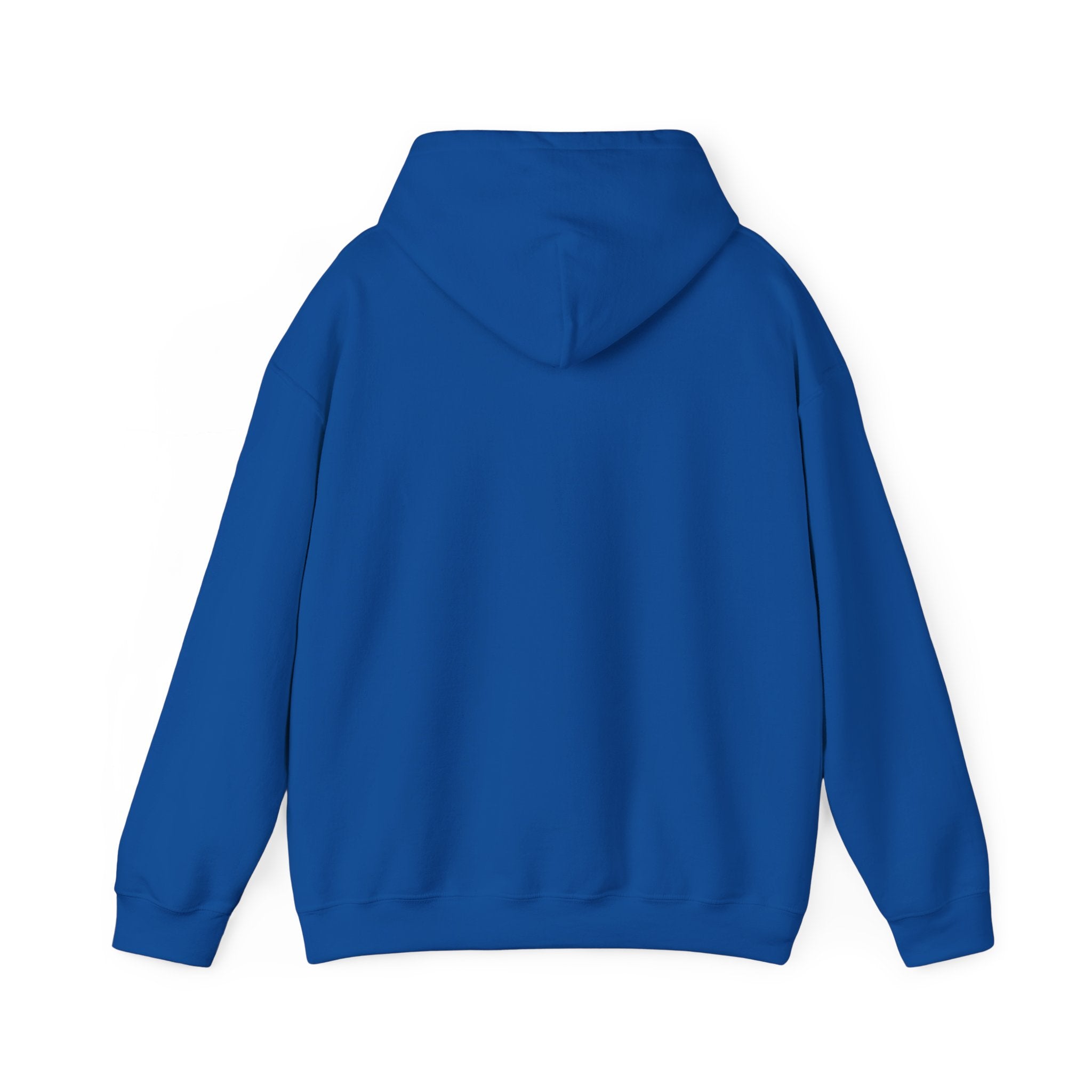 Rubin Report Hoodie