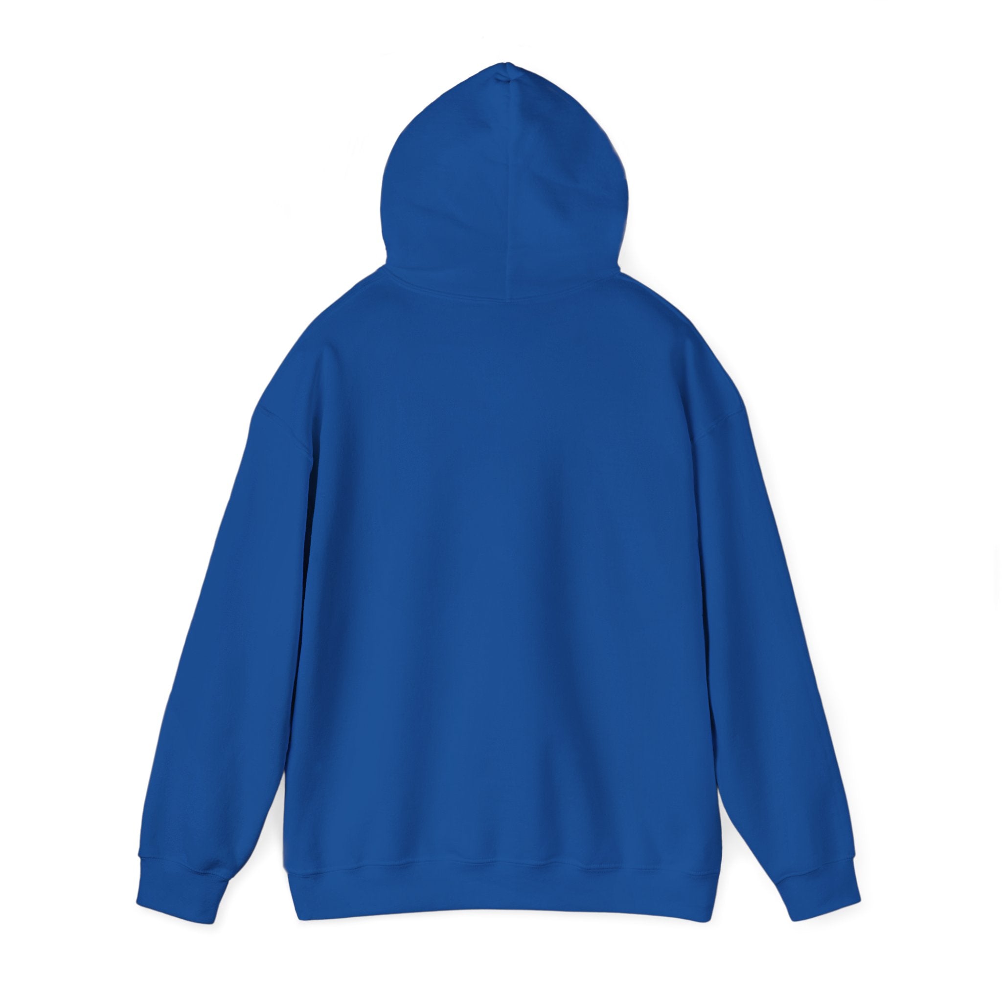 Rubin Report Hoodie