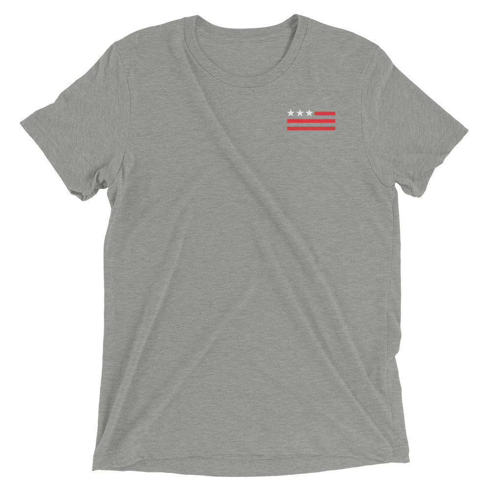 USA FLAG Simple T-Shirt