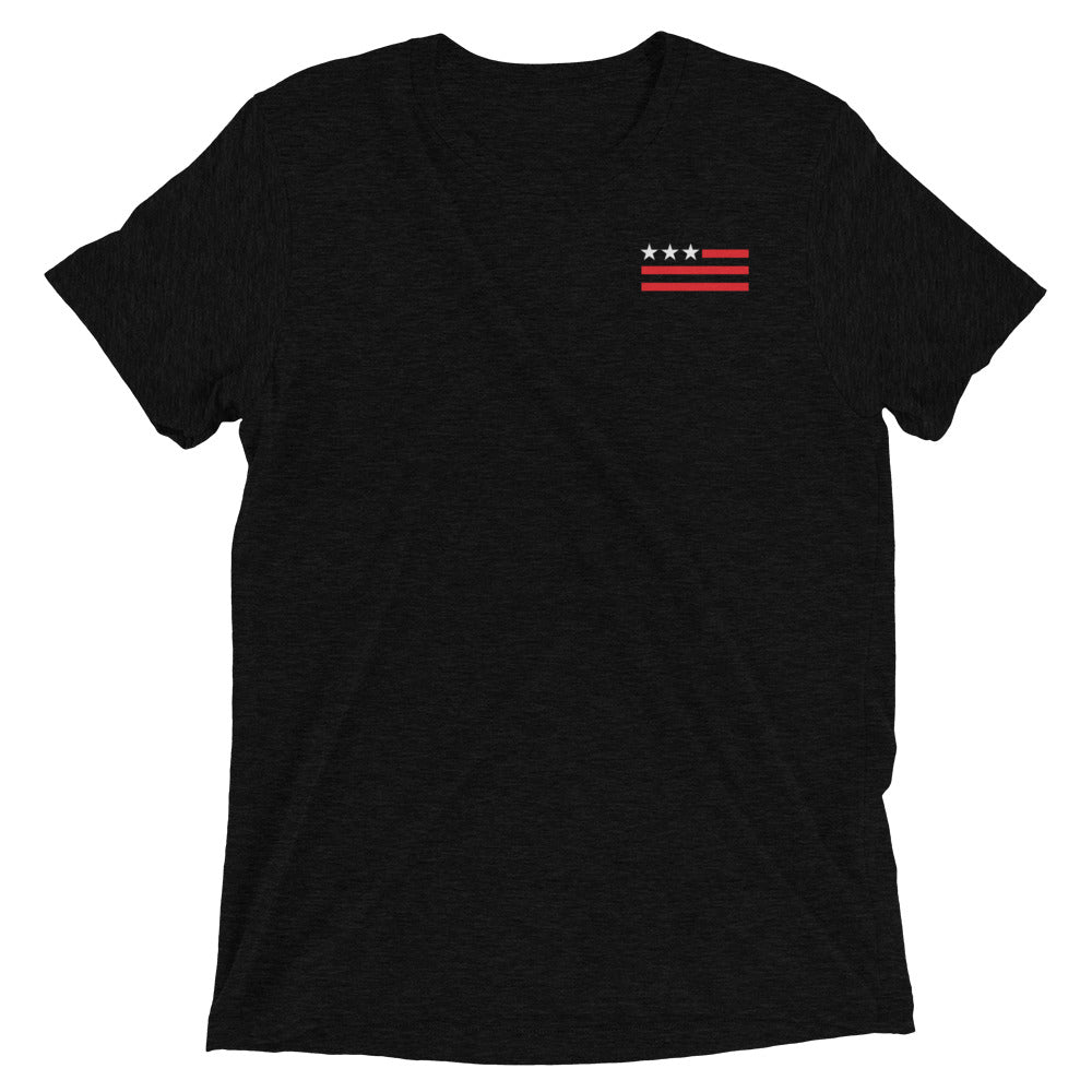 USA FLAG Simple T-Shirt